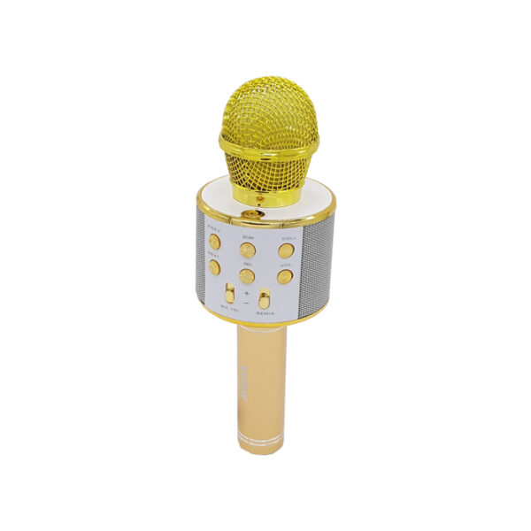 Microphone sans fil karaoké Bluetooth avec haut-parleur
