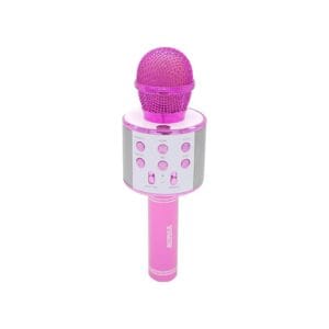 Système karaoké Bluetooth 2-en-1 avec son clair et effet écho