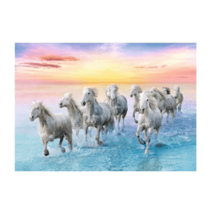 Puzzle Trefl 500 pieces 2